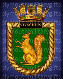 HMS Vivacious Magnet